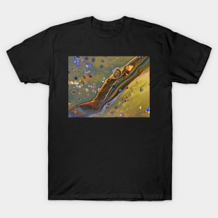 Reflections T-Shirt